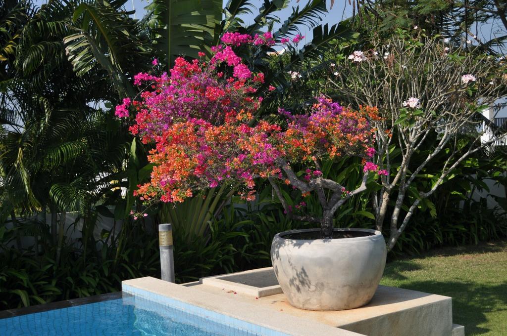 Balinese Villa With Private Pool HHQ Eksteriør bilde